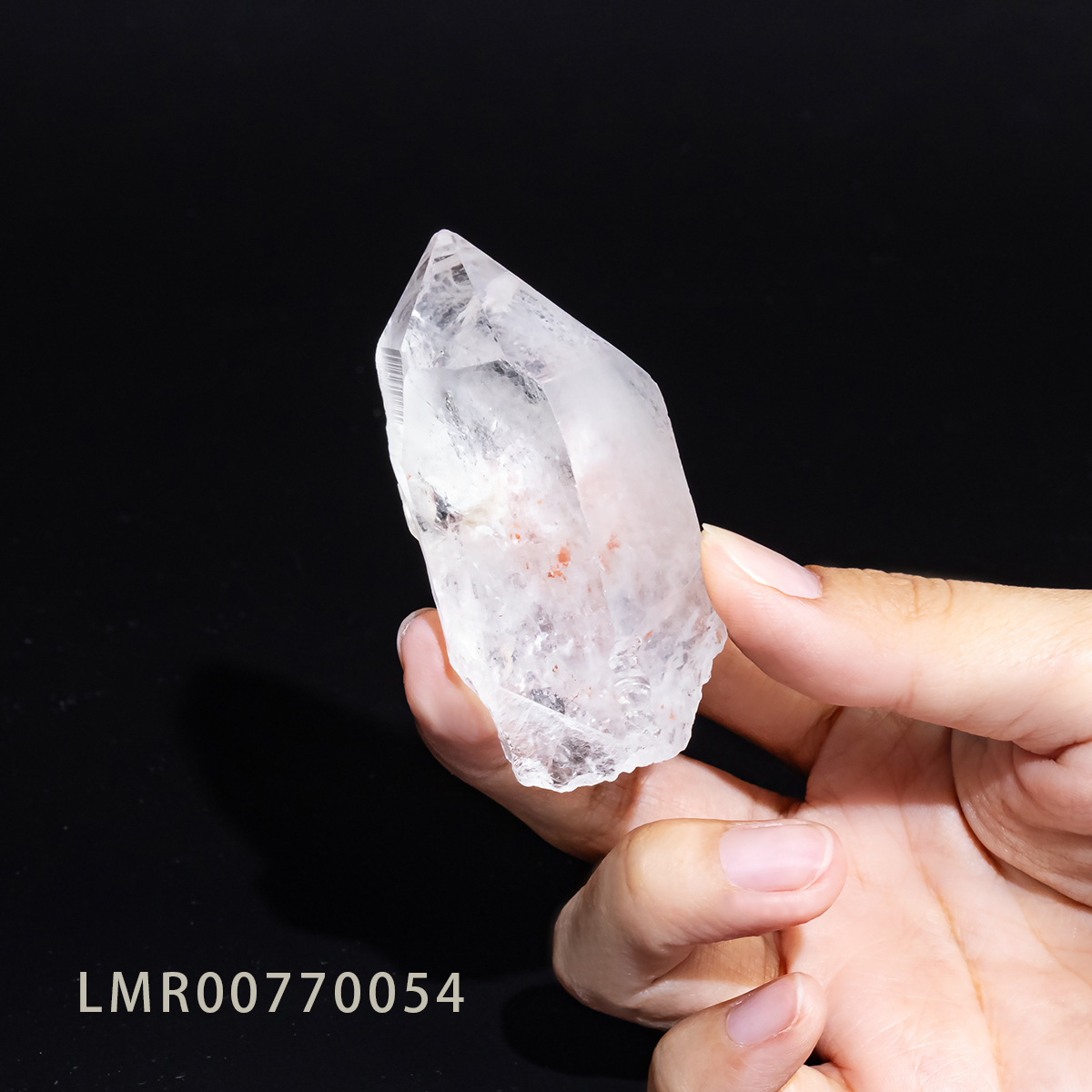 花漾能量杯｜雷姆利亞 77-82